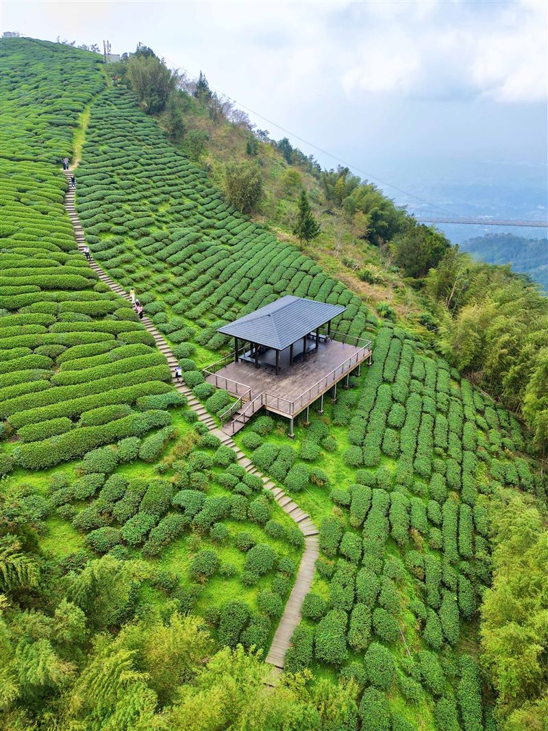放鬆旅行！走進嘉義梅山為身心開一帖「自然處方」。（圖／嘉義縣政府提供）