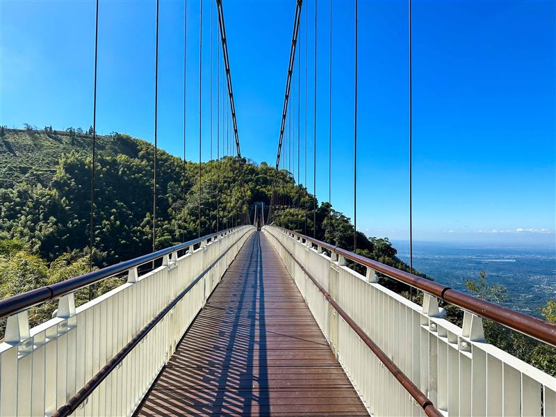 放放鬆旅行！走進嘉義梅山為身心開一帖「自然處方」。（圖／嘉義縣政府提供）