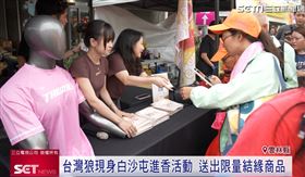 台灣狼現身白沙屯進香！送出限量結緣商品