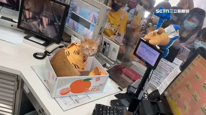 蜜柑一上班，就引來大批粉絲