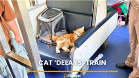 車廂內貓咪疑因悶熱失控，咬傷主人並抓傷乘客引發騷動。（圖／翻攝自Thaiger）