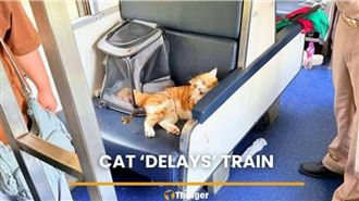 貓背黑鍋！牠咬人釀列車誤點7小時