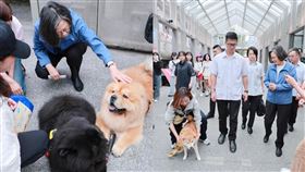 蔡英文被狗狗包圍。（組圖／翻攝自Threads @tsai_ingwen）