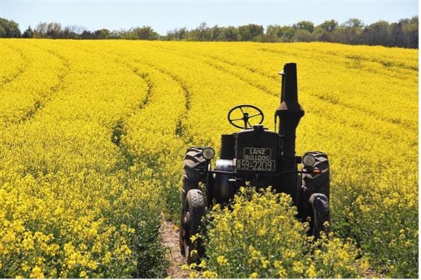 穀雨有助收成。（示意圖/寶島神很大）