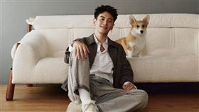 柯震東任寵物品牌總監。（圖／帕奇特小屋提供）