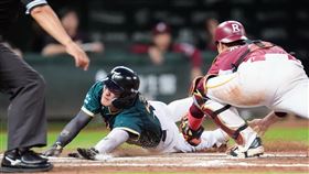 快腿跑回致勝分　高聖恩曝休賽季特別訓練