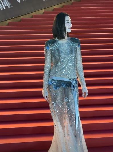 衛詩雅透視珠片羽毛裝仙氣爆棚。（圖／翻攝自香港電影金像獎IG）