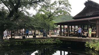 去日本最後悔的地方？旅遊達人曝真相