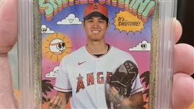 史丹利。（圖／翻攝自史丹利臉書）