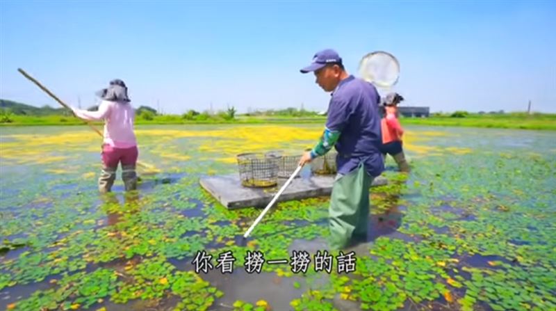 餐桌上的保育學　從一口食物開始，看見農業與自然之間緊密的連結。（圖／三立永續辦公室提供）