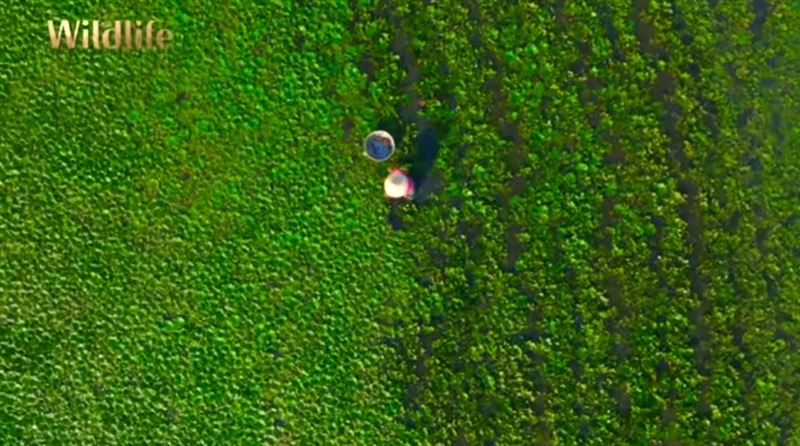 餐桌上的保育學　從一口食物開始，看見農業與自然之間緊密的連結。（圖／三立永續辦公室提供）