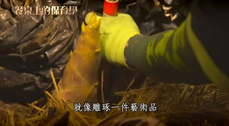 在嘉義大林，有一群筍農選擇以友善棲地的方式種植 烏殼綠竹筍，在採筍與經營竹林的同時，也保留樹蛙的生存空間。（圖／三立永續辦公室提供）