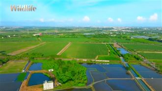 保育學的第一課，也許就從餐桌開始