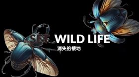 消失的棲地：一個令人憂心的現實　當棲地消失，動物也將無處可去。（圖／三立永續辦公室提供） 