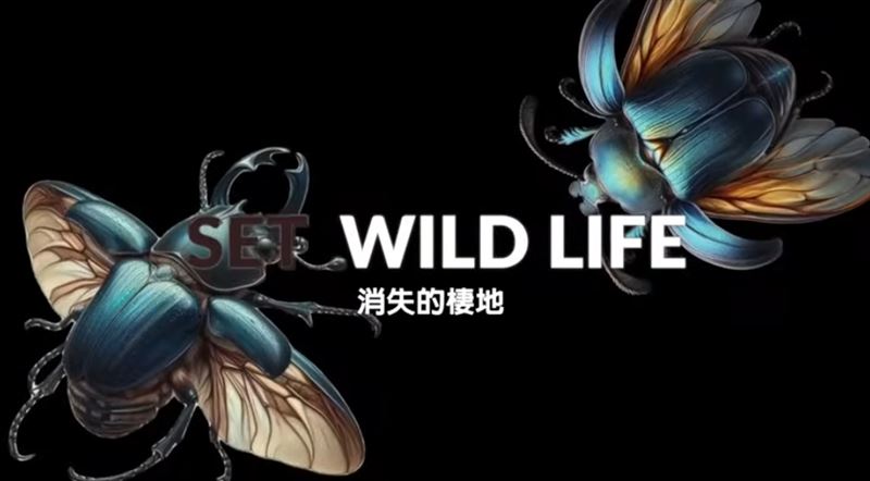 消失的棲地：一個令人憂心的現實　當棲地消失，動物也將無處可去。（圖／三立永續辦公室提供）