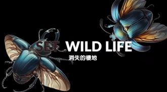 消失的棲地：一個令人憂心的現實