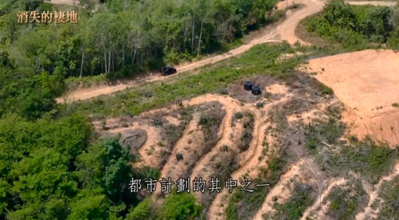 消失的棲地：一個令人憂心的現實　當棲地消失，動物也將無處可去。（圖／三立永續辦公室提供）