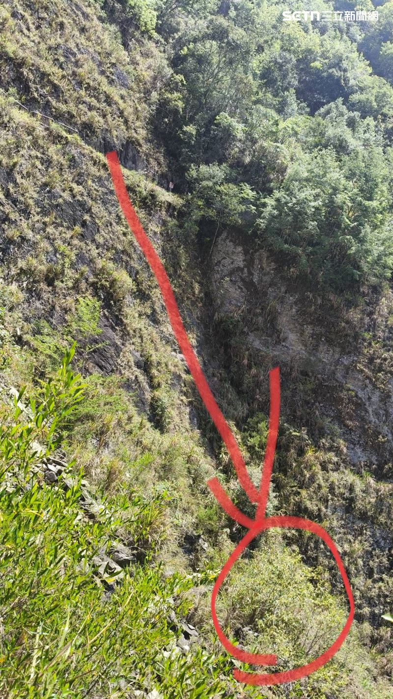南投縣信義鄉父子斷崖發生墜谷意外。（圖／翻攝畫面）