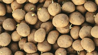 美國馬鈴薯農藥殘留曝光！9成含歐盟禁藥