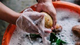 馬鈴薯,發芽。（圖／翻攝自pexels）