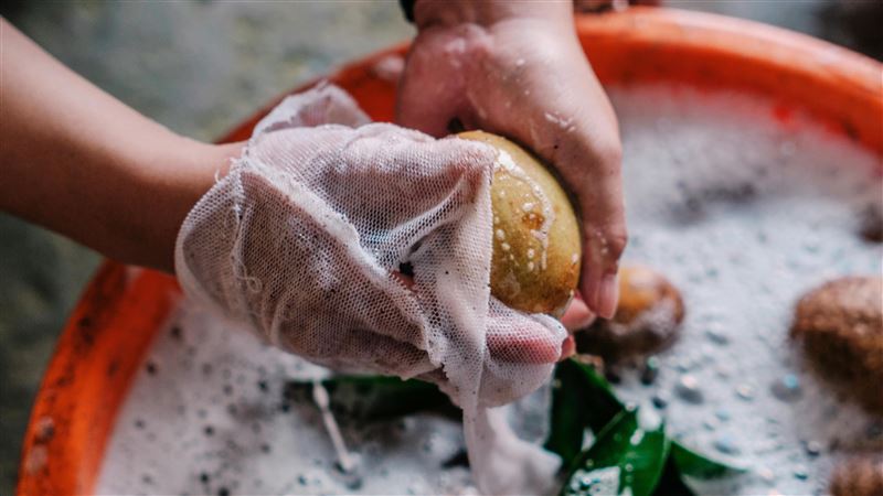獨／美馬鈴薯爆食安恐慌　補教名師這樣看