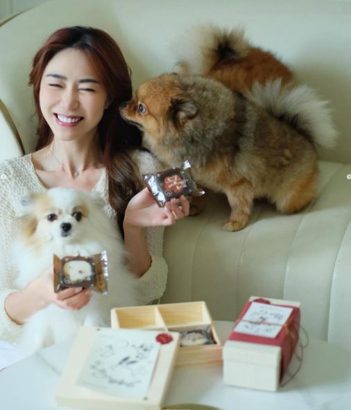 黃嘉雯的愛犬不只擁有寬廣的活動空間，更享有主人無微不至的照顧。（圖／翻攝自黃嘉雯IG）
