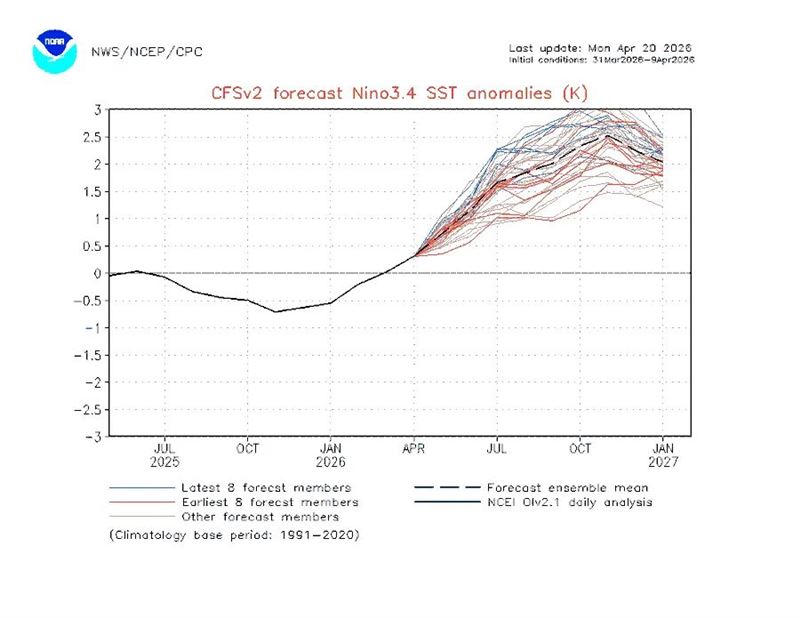 「觀氣象看天氣」分享，據NOAA最新預報，偏強聖嬰發展機率提升。（圖／翻攝自觀氣象看天氣 臉書）