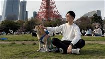 旅居日遇7.7強震　視網膜愛犬1反應笑翻網