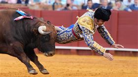 被譽為「鬥牛之王」的西班牙46歲鬥牛士普埃布拉，20日遭公牛牛角刺穿直腸。（圖／美聯社／達志影像）