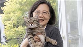 前總統蔡英文（圖／翻攝自蔡英文Threads） 