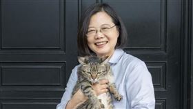 蔡英文重返台中豐原「德川家康」社區，笑談2貓2狗家庭地位。（圖／翻攝自IG @tsai_ingwen）