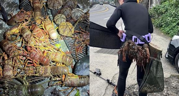 自稱海獵人的張男時常下水捕撈龍蝦等海鮮，並於臉書社群平台販售。（翻攝自臉書）