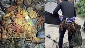 自稱海獵人的張男時常下水捕撈龍蝦等海鮮，並於臉書社群平台販售。（翻攝自臉書）