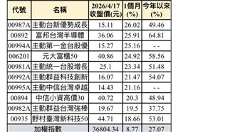 台股漲不停近1月報酬　前3強都大賺逾25%
