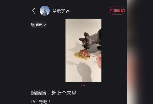 華晨宇的餵貓影片掀起熱議。（圖／翻攝自小紅書）