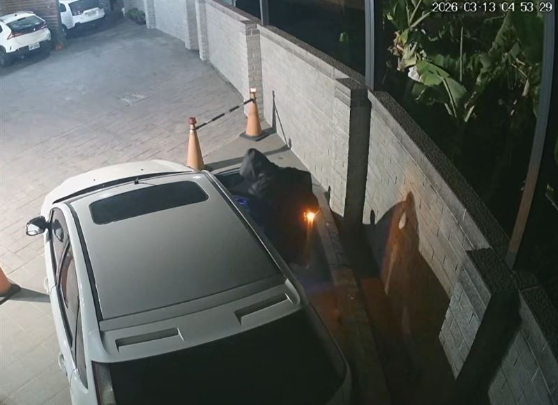 黑衣人趁深夜時隨機拉汽車門把，若碰上車輛未上鎖即進入竊取財物。（圖／翻攝畫面）