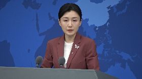 中國大陸國台辦發言人張(日含)