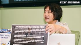 范雲指出，國共聯手欺騙台灣人，鄭麗文所謂「和平之旅」已經破功。（圖／記者楊士誼攝影）