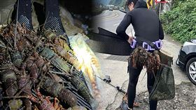 新北市瑞芳區南雅漁港外海20日發生溺水死亡事件，張姓男子（35歲）與友人下海潛水獵捕龍蝦、海魚，疑因受困海底礁岩溺水，警消人員獲報到場搜救，張男被發現時已無生命跡象，經送醫急救仍不治。（圖／翻攝畫面）