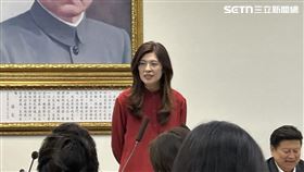 鄭麗文主持中常會。（圖／記者詹宜庭攝影）