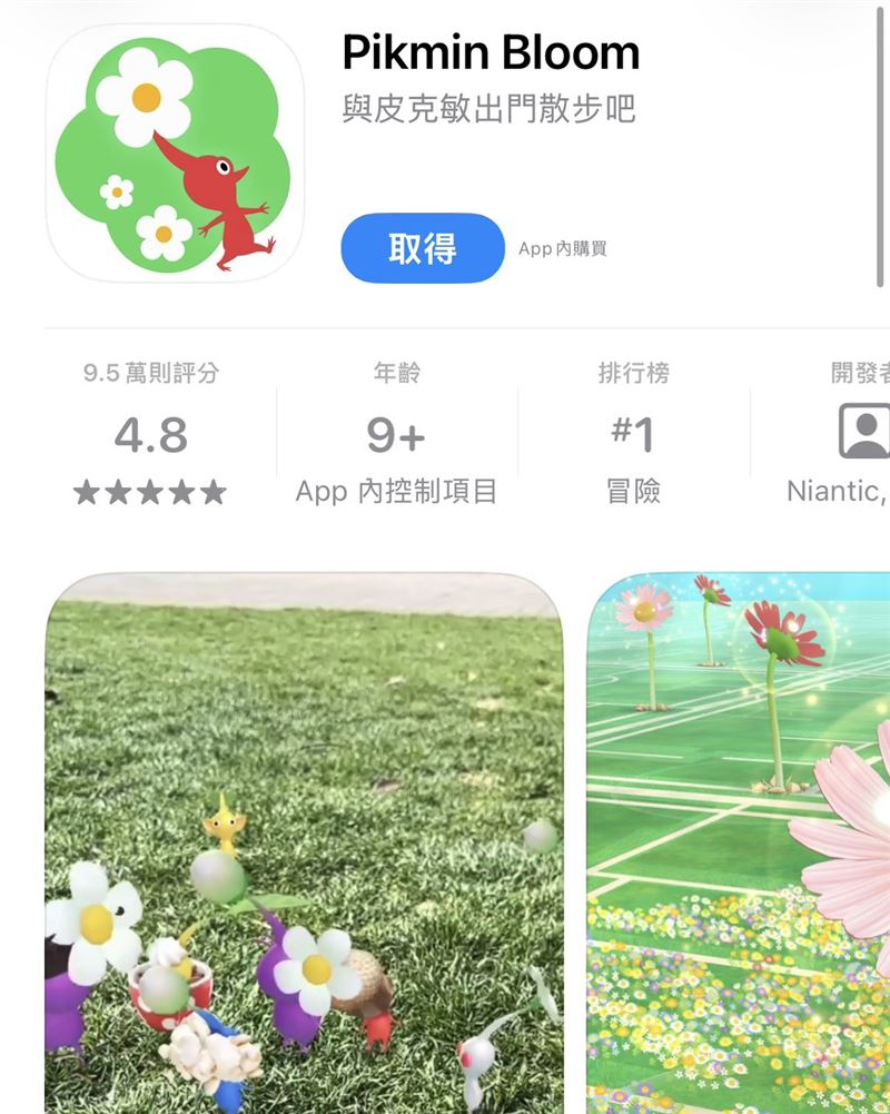 手遊《Pikmin Bloom》（皮克敏）掀熱潮，玩家靠走路累積步數養角色、種花。（圖／翻攝自App Store）