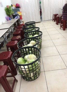 食枒未離地（圖／台北市衛生局提供）