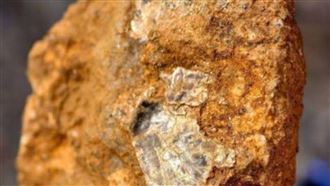 一名年僅8歲的小學生在山中挖野菜時，憑藉觀察與所學知識，懷疑當地可能存在金礦。（圖／翻攝自微博）