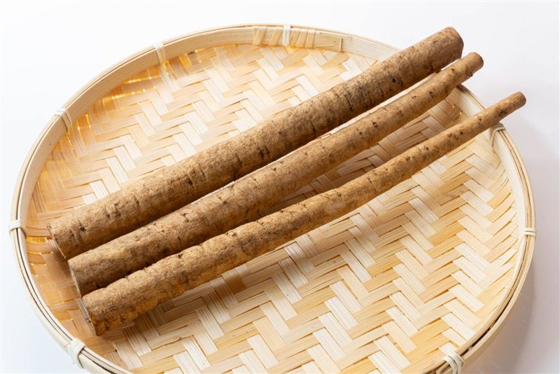 牛蒡含有精胺酸、多酚、菊糖（果寡糖），及膳食纖維、維生素 C、E，鉀、鐵、鎂等營養素。(圖/取自「韋恩的食農生活」)