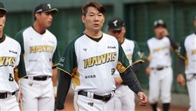 台鋼雄鷹教練黃甘霖。（圖／台鋼雄鷹提供） 