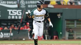 台鋼雄鷹王柏融。（圖／台鋼雄鷹提供） 