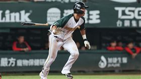 台鋼雄鷹陳文杰。（圖／台鋼雄鷹提供） 