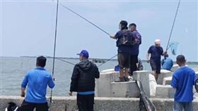 嘉義縣東石鄉新吉庄漁港爆發「鱸魚之亂」，本週有大批釣客專程前來垂釣被野放的鱸魚。（翻攝自東石之美臉書社團）