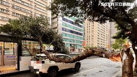 北市大貨車行經基隆路一段時撞斷路樹，枝幹壓毀公車及轎車的車頂。（圖／翻攝畫面）