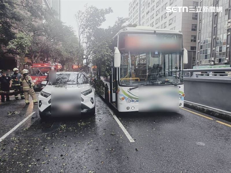 北市大貨車行經基隆路一段時撞斷路樹，枝幹壓毀公車及轎車的車頂。（圖／翻攝畫面）